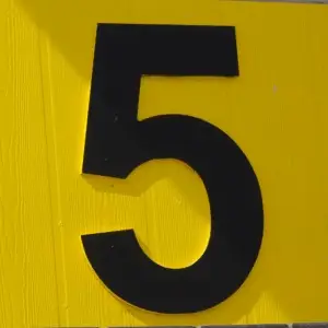 Top 5 Essential Dental Health Tips From a Dentist in Cary